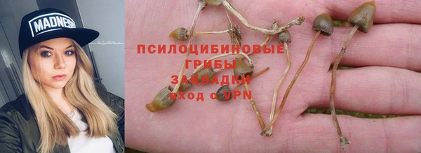 apvp Елизово