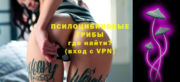 гашик Елабуга