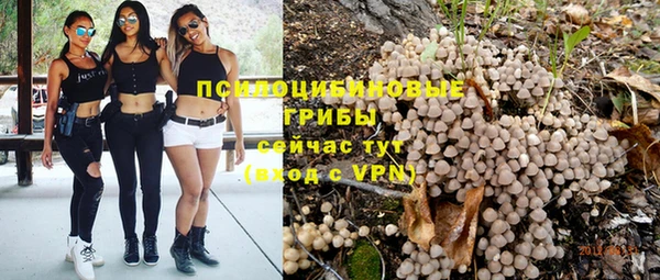 apvp Елизово