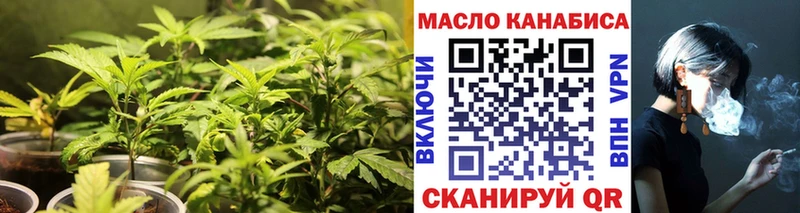 где можно купить наркотик  Закаменск  ТГК вейп с тгк 