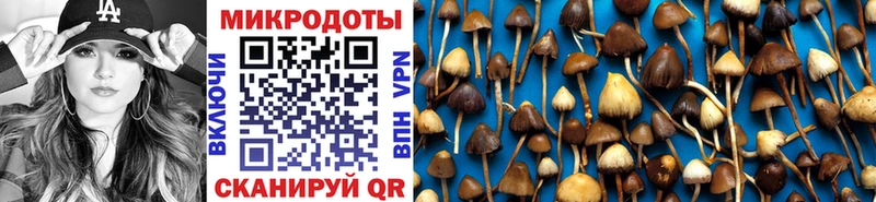 купить наркотики сайты  Закаменск  Галлюциногенные грибы прущие грибы 